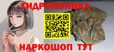 прущие крисы Кулебаки